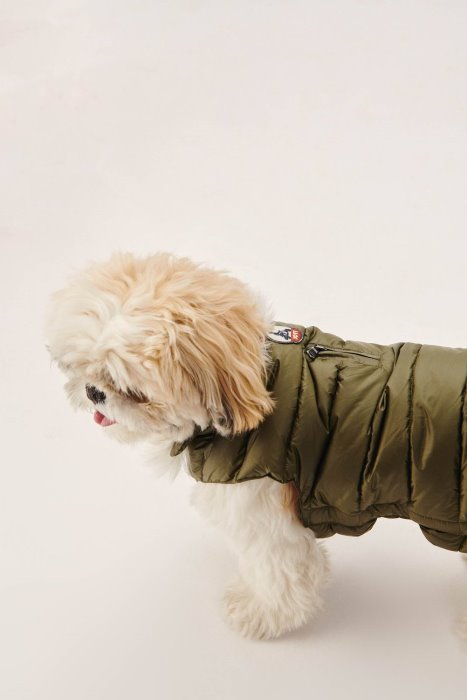 Army Dogs Down Jacket Woop Jott New In