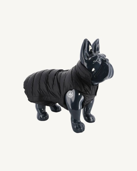Black Dogs Down Jacket Woop Jott New In