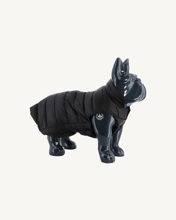 Black Dogs Down Jacket Woop Jott New In