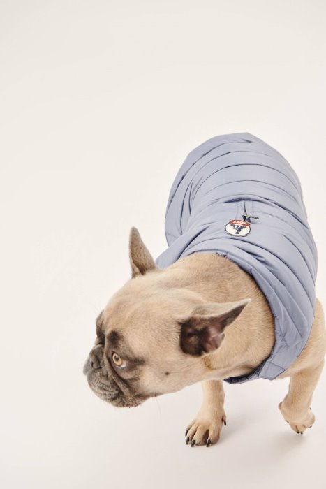 Blue Delave Dogs Down Jacket Woop Jott New In