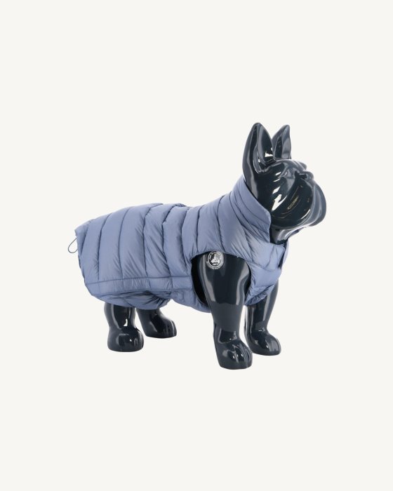 Blue Delave Dogs Down Jacket Woop Jott New In