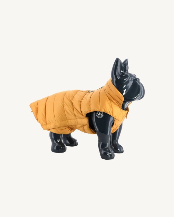 Jott New In Moutarde Dogs Down Jacket Woop