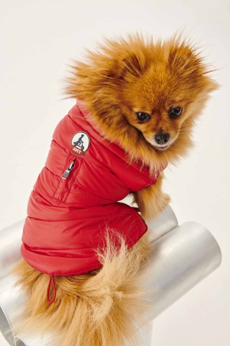 Jott New In Rouge Dogs Down Jacket Woop