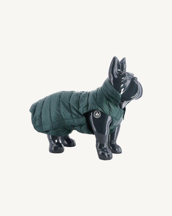 Jott New In Vert Fonce Dogs Down Jacket Woop