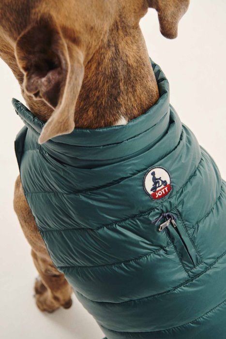 Jott New In Vert Fonce Dogs Down Jacket Woop